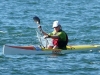 chamness_jcr2010