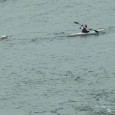 Forward Strokes, Ischemic Strokes, and No Backstrokes by Rich Carter Photo Credit to David Cox, Good Morning Gloucester Once again I find myself at Gloucester High School, home of the Fighting Fishermen,bearing up beneath dark storm clouds and a gale of...