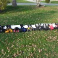 &nbsp; &nbsp; Like most things paddling, I have acquired many PFD’s over the years looking for the ultimate one.  I still have not found the perfect one for what we...