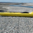  The New Innovative Stellar 18S Surfski is Here!!  Read On! &nbsp; &nbsp; &nbsp;    &nbsp; &nbsp;    &nbsp;       &nbsp; &nbsp; Spring is here and that means surf skis.Like...