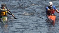6 Mile Race – Run of The Charles 2012 – by The Webmaster In each of my 4 years racing kayaks, I anxiously look forward to the ROTC (Run of the Charles). Its a great event – many different races, categories and spectators...
