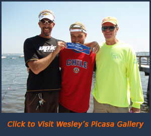 Double-Beaver-2009-Wesley-Gallery