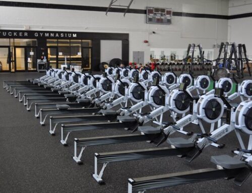 On Training:  What is Training?