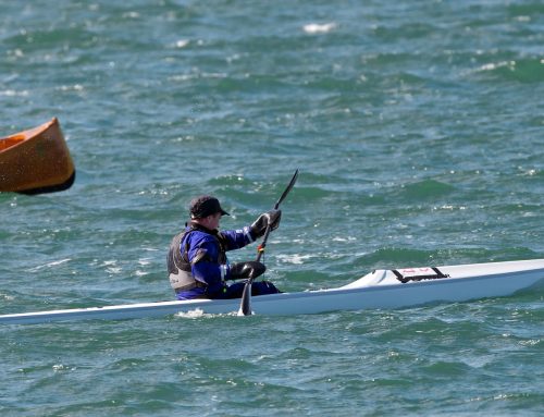On Training: Seeing the Water