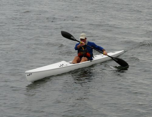 On Training: Endurance as Structural Tolerance