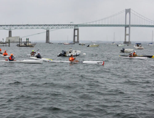 Beaver Times Two by Mark Ceconi