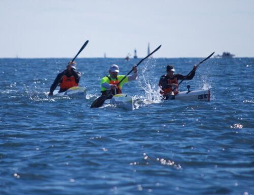 On Training: Stress and Adaptation