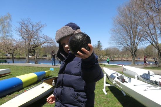 Spring is here! Before the race, this young fella plucked the season's first coconut from the Charles.