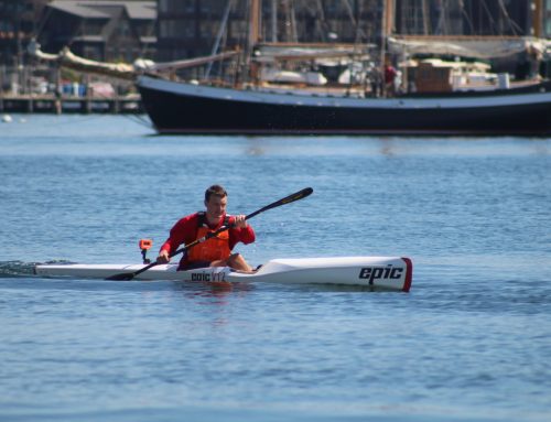 On Training: Recovery and Adaptation