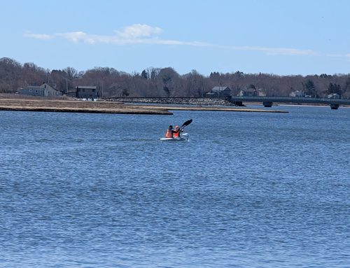 Narrow River Race 2026-Big Turnout